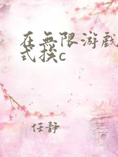 在无限游戏里花式挨c