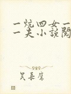 一炕四女一共侍一夫小说阅读