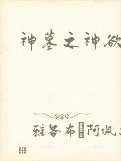 神墓之神欲天下