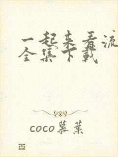 一起来看流星雨全集下载