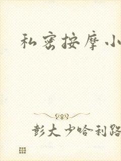私密按摩小说