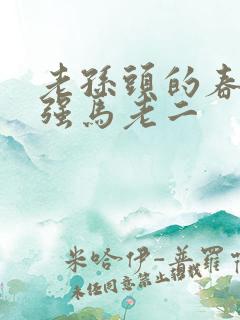 老孙头的春天马强马老二