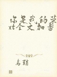 你是我的荣耀txt全文加番外