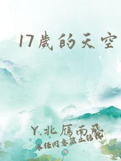 17岁的天空