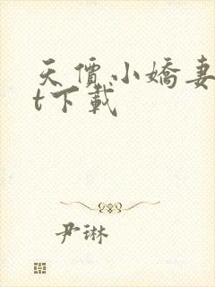 天价小娇妻txt下载