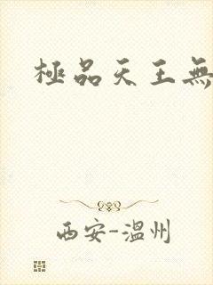 极品天王无弹窗