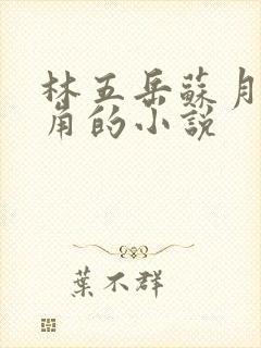 林五岳苏月灵主角的小说