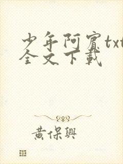 少年阿宾txt全文下载