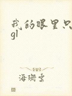 我的眼里只有你gl