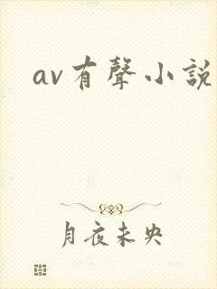 av有声小说