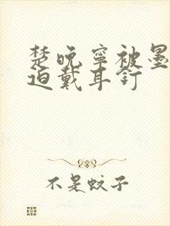 楚晚宁被墨燃强迫戴耳钉