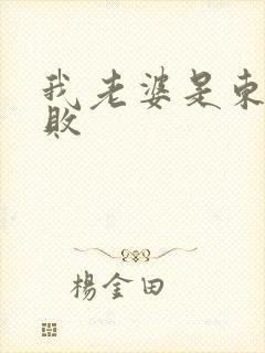 我老婆是东方不败