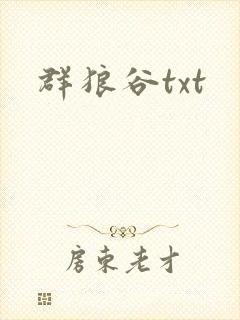 群狼谷txt