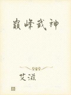 巅峰武神