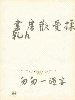 书房欢爱揉捏娇乳h