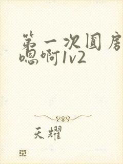 第一次圆房～h嗯啊1v2