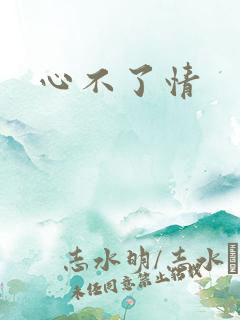 心不了情