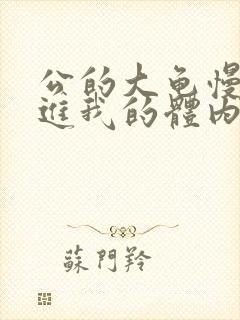 公的大龟慢慢挺进我的体内