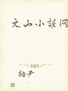 文山小说网
