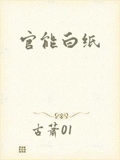 官能白纸