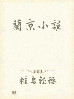 兰京小说