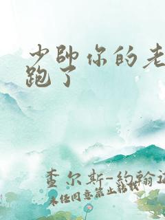 少帅你的老婆又跑了