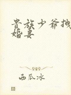 贵族少爷拽拽未婚妻