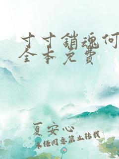 寸寸销魂何生祥全本免费