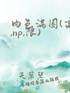 肉色满园(高h,np,限)