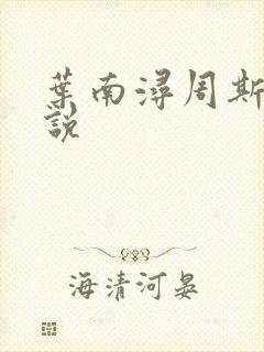 叶南浔周斯年小说