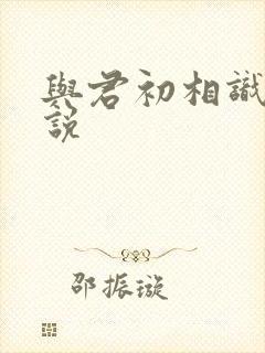 与君初相识 小说