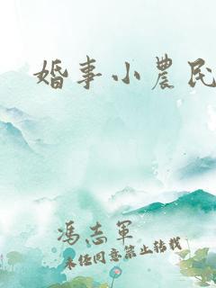 婚事小农民