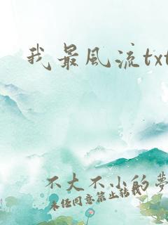 我最风流txt