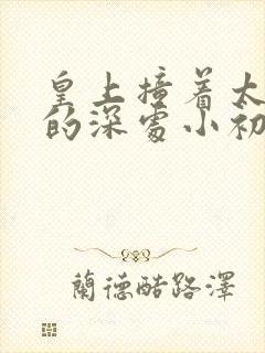 皇上撞着太子妃的深处小初