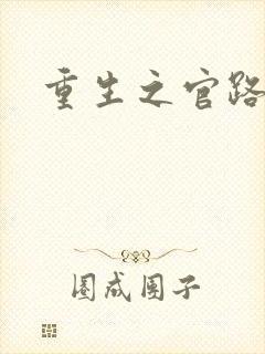 重生之官路情长