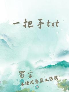 一把手txt