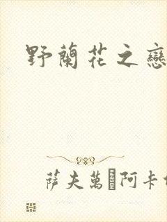 野兰花之恋