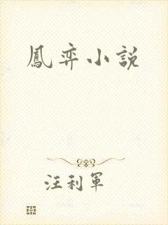 凤弈小说