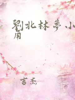 刘北林梦小说主角