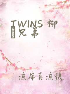 TWINS 柳澤兄弟