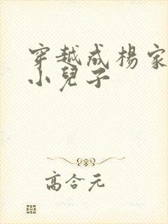 穿越成杨家将最小儿子