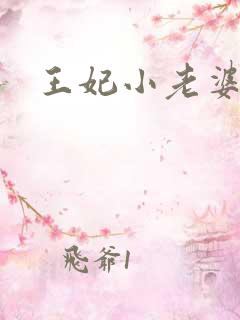 王妃小老婆