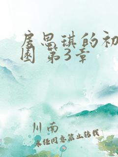 房思琪的初恋乐园 第3章