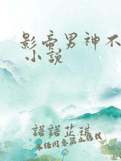 影帝男神不节制 小说