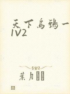 天下乌鸦一般黑1V2