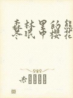 森林里的熊先生冬眠中樱花动漫