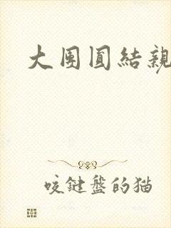 大团圆结亲情会