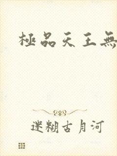 极品天王无弹窗