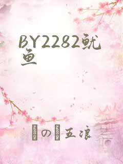BY2282鱿鱼