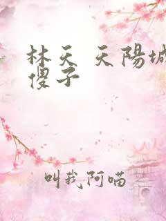 林天 天阳城 傻子
